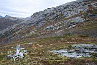 IMG_6934_25cm100dpi.jpg