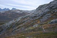 IMG_6935_25cm100dpi.jpg