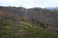 IMG_6942_25cm100dpi.jpg