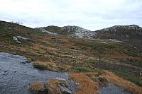 IMG_6944_25cm100dpi.jpg