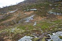 IMG_6949_25cm100dpi.jpg