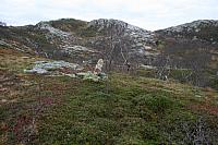 IMG_6951_25cm100dpi.jpg