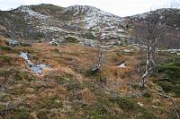 IMG_6954_25cm100dpi.jpg