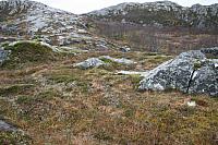 IMG_6955_25cm100dpi.jpg