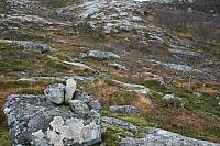 IMG_6956_25cm100dpi.jpg