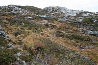 IMG_6961_25cm100dpi.jpg