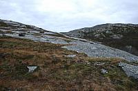IMG_6967_25cm100dpi.jpg