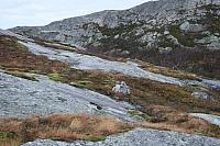 IMG_6968_25cm100dpi.jpg