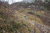 IMG_6970_25cm100dpi.jpg
