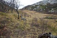 IMG_6974_25cm100dpi.jpg