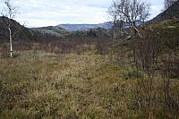 IMG_6975_25cm100dpi.jpg