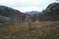 IMG_6982_25cm100dpi.jpg