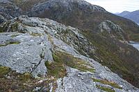 IMG_6984_25cm100dpi.jpg