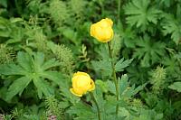 IMG_7637_25cm100dpi.jpg