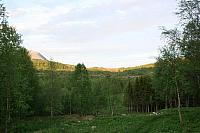 IMG_7644_25cm100dpi.jpg