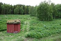 IMG_7649_25cm100dpi.jpg