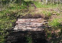 Tjønnåsdynna
