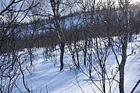 IMG_7214_25cm100dpi.jpg