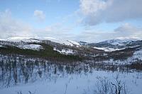 IMG_7217_25cm100dpi.jpg