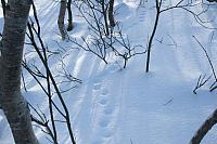 IMG_7224_25cm100dpi.jpg