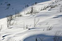 IMG_7227_25cm100dpi.jpg