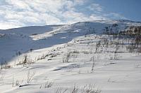 IMG_7228_25cm100dpi.jpg