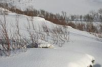 IMG_7231_25cm100dpi.jpg