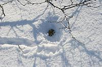 IMG_7236_25cm100dpi.jpg