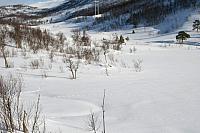 IMG_7241_25cm100dpi.jpg
