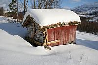 IMG_7252_25cm100dpi.jpg
