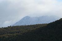IMG_7889_25cm-100dpi.jpg