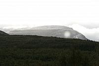 IMG_7891_25cm-100dpi.jpg