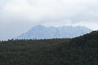 IMG_7894_25cm-100dpi.jpg