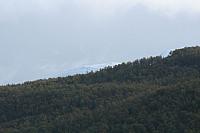 IMG_7895_25cm-100dpi.jpg