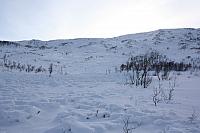 IMG_2463_25cm100ppi.jpg