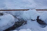IMG_2465_25cm100ppi.jpg
