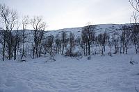 IMG_2467_25cm100ppi.jpg
