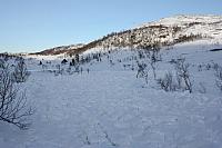 IMG_2468_25cm100ppi.jpg