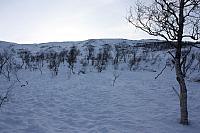 IMG_2469_25cm100ppi.jpg