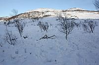 IMG_2470_25cm100ppi.jpg