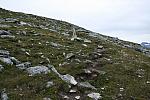 IMG 7830 25cm-100dpi