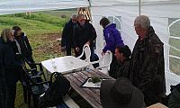 IMAG0234_25cm-100dpi.jpg
