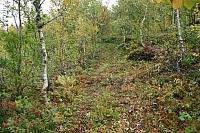 IMG_7914_25cm.jpg