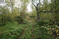 IMG_7918_25cm.jpg