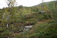 IMG_7919_25cm.jpg