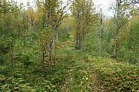 IMG_7925_25cm.jpg