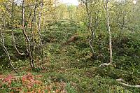 IMG_7931_25cm.jpg