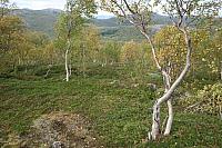 IMG_7933_25cm.jpg