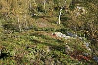 IMG_7941_25cm.jpg