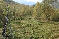 IMG_7943_25cm.jpg